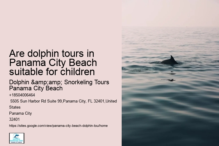 Panama City Beach Dolphin Experience Tours