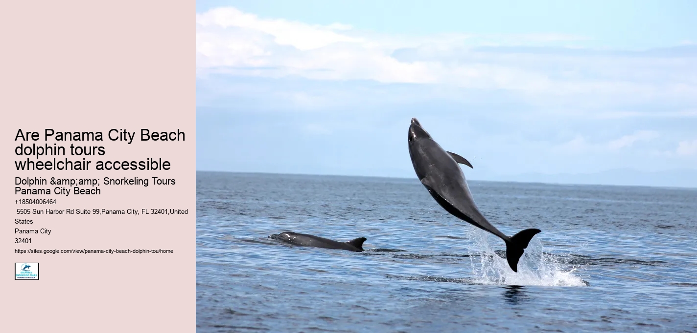 Panama City Beach Dolphin Tours