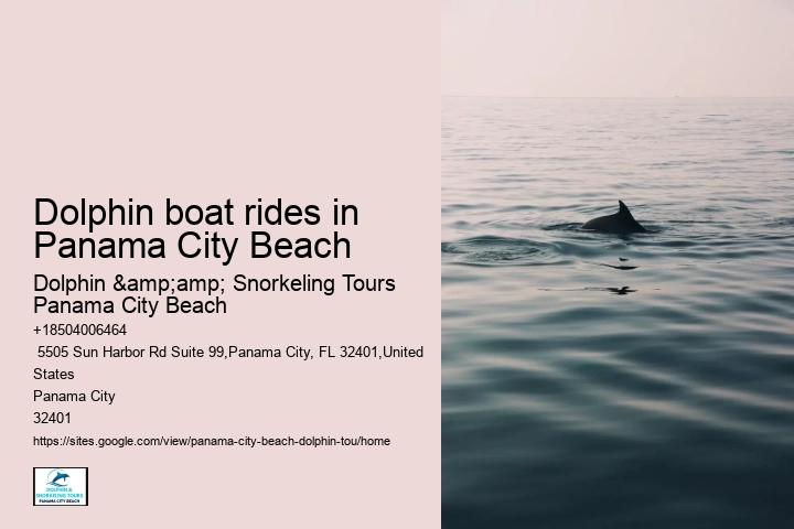 Panama City Beach dolphin safari