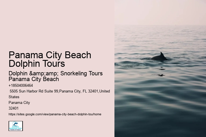 Panama City Beach dolphin sightseeing tours
