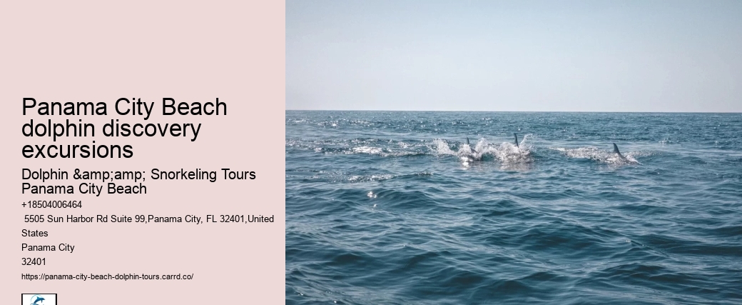 Dolphin watching adventures in Panama City Beach