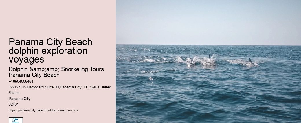 Panama City Beach dolphin adventures