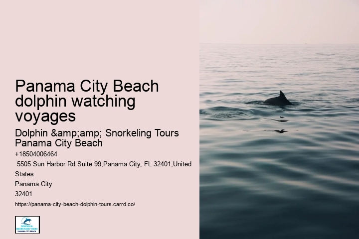 Panama City Beach Private Dolphin Tours