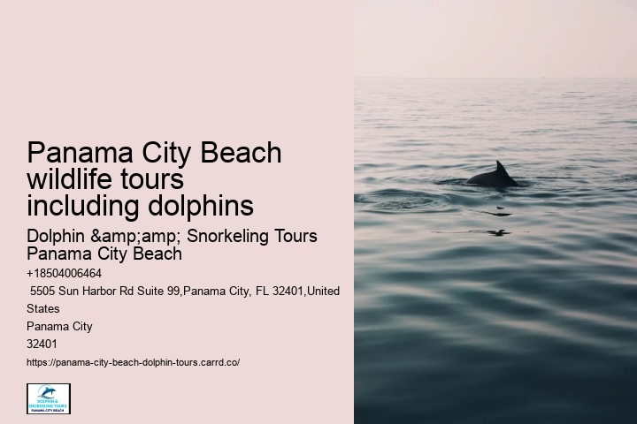 Panama City Beach wildlife tours including dolphins