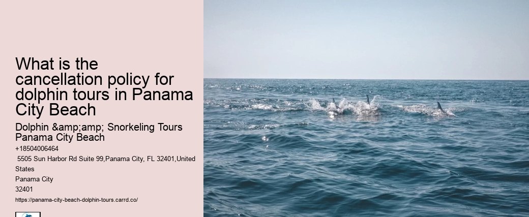 What is the cancellation policy for dolphin tours in Panama City Beach