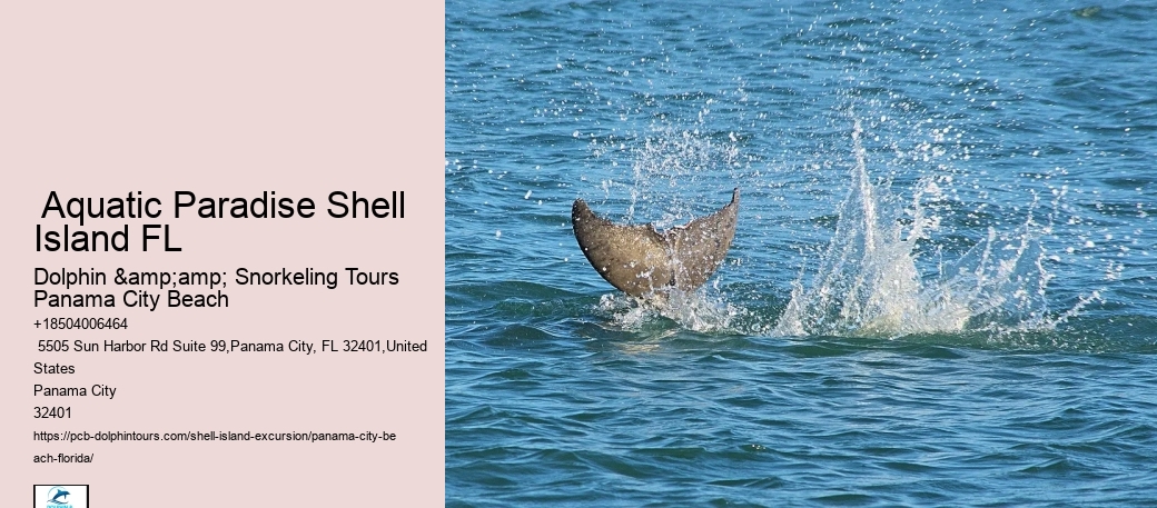  Shell Island - All You Need To Know Before You Go