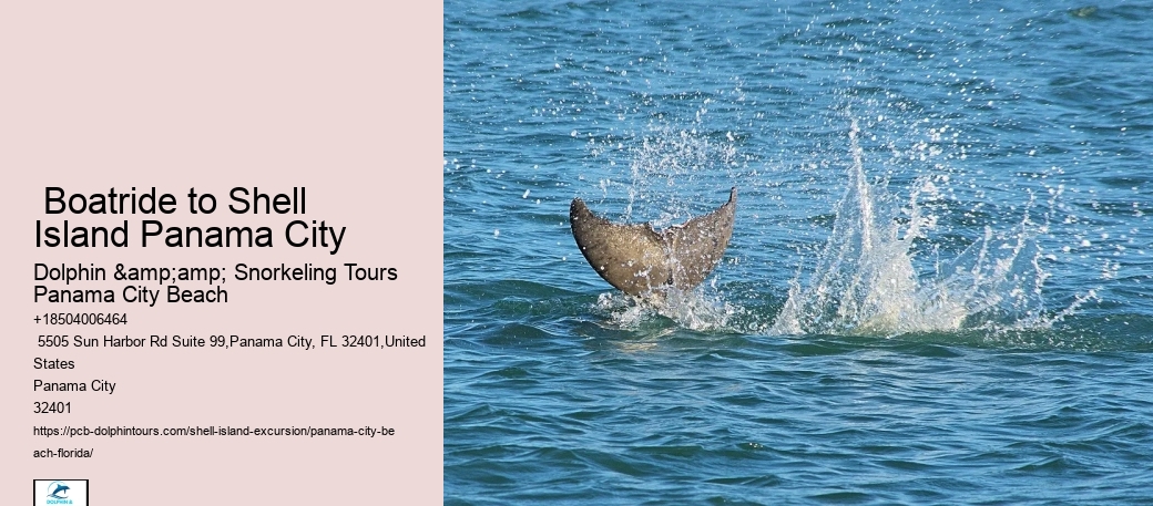  Panama City Watercraft Discovery Tours