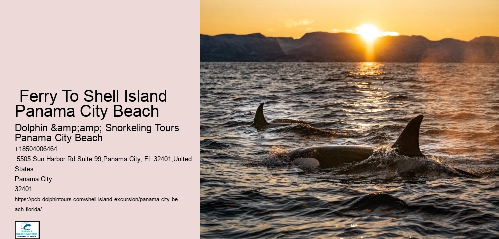  Bottle-nosed Dolphins