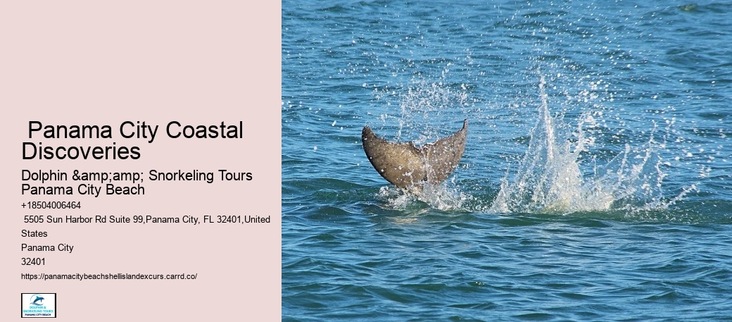  Shell Island Excursions Panama