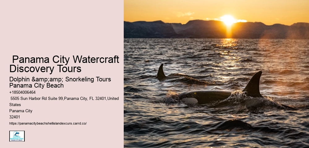  Panama City Watercraft Discovery Tours