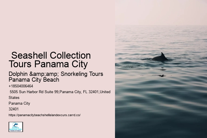  Seashell Collection Tours Panama City