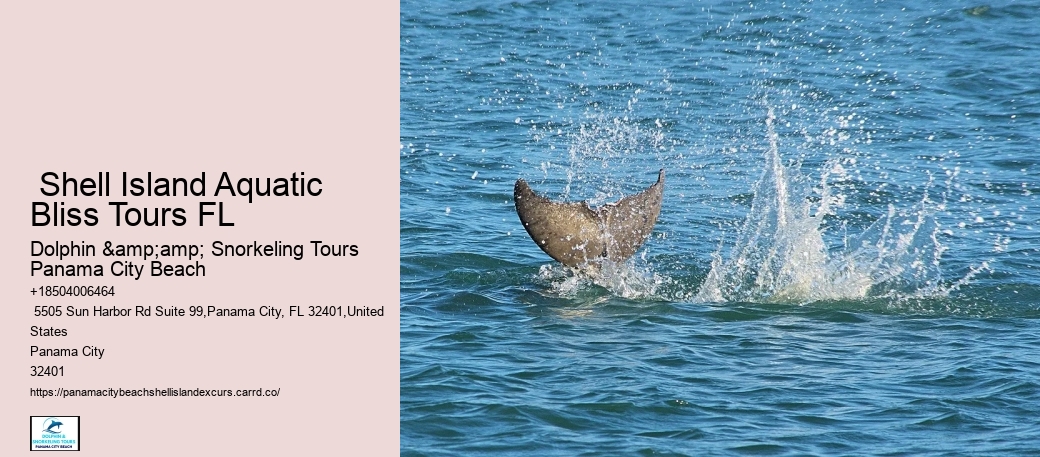  Panama City Dolphin