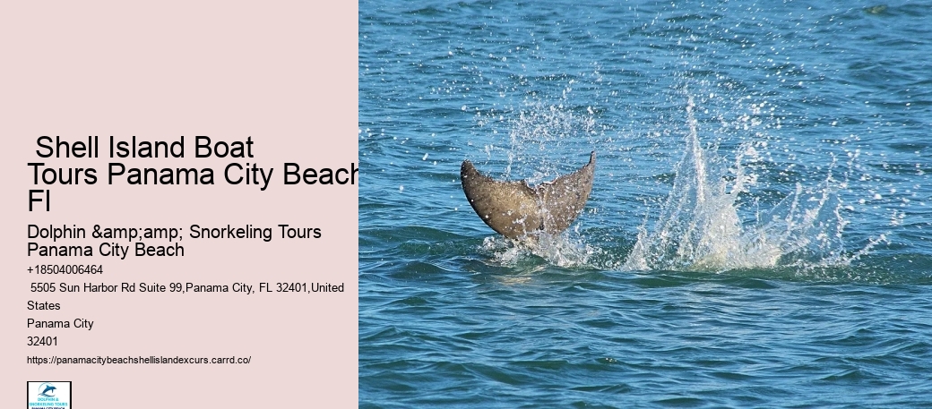  Coastal Paradise Panama City Excursions