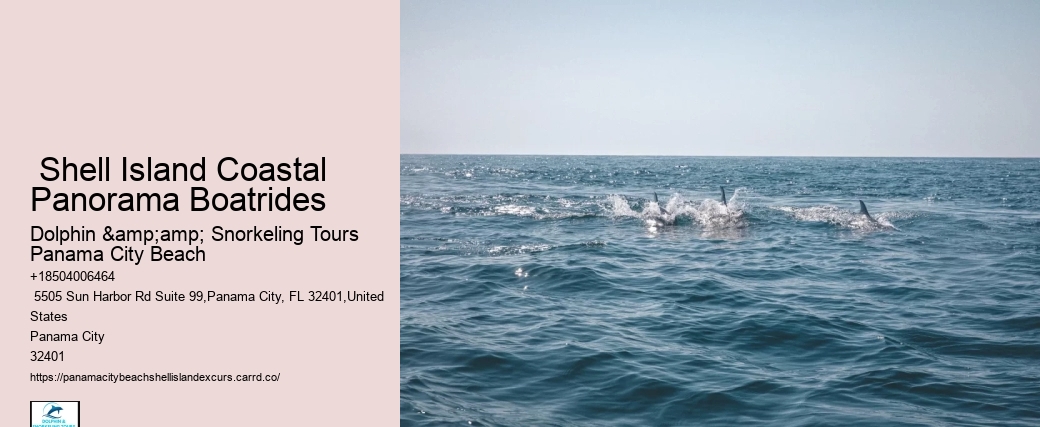  Shell Island Coastal Panorama Boatrides