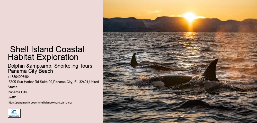  Shell Island Coastal Habitat Exploration