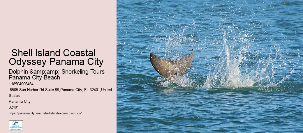  Shell Island Coastal Odyssey Panama City
