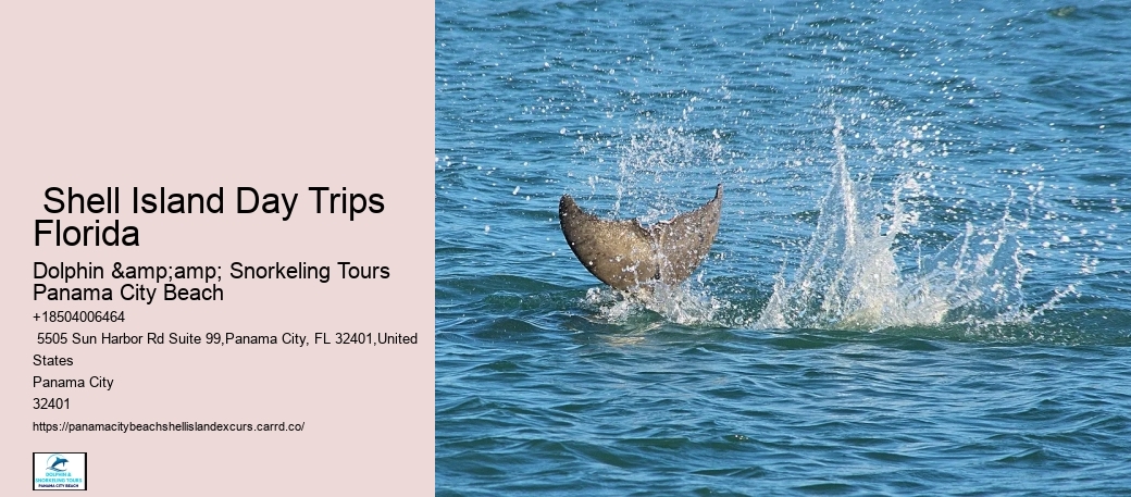  Island Excursions Panama