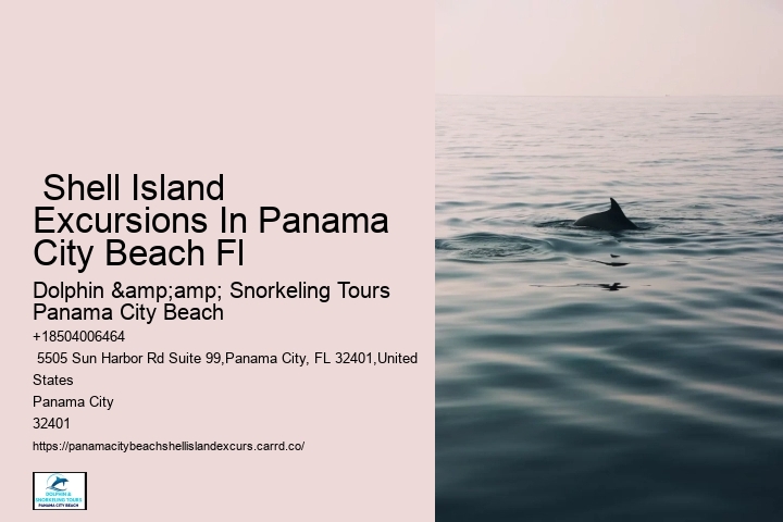 Shell Island Excursions In Panama City Beach Fl