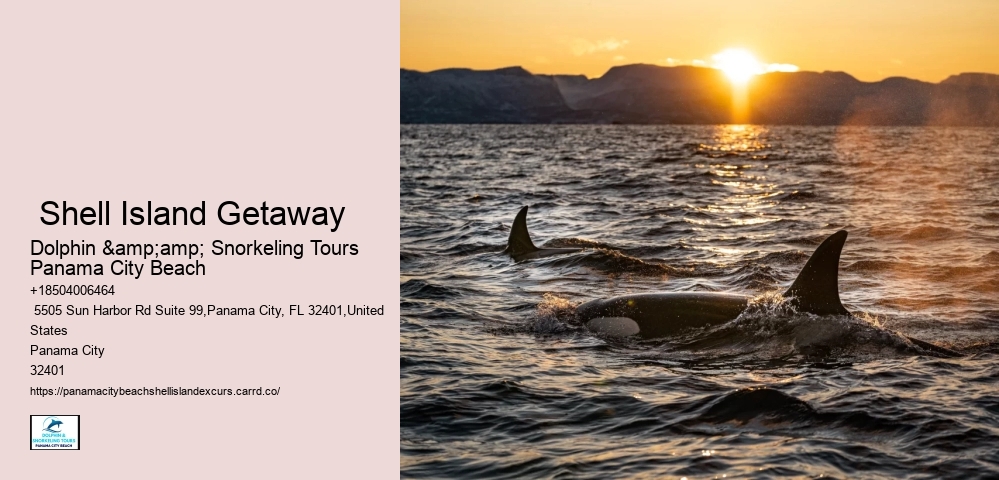  Shell Island Getaway