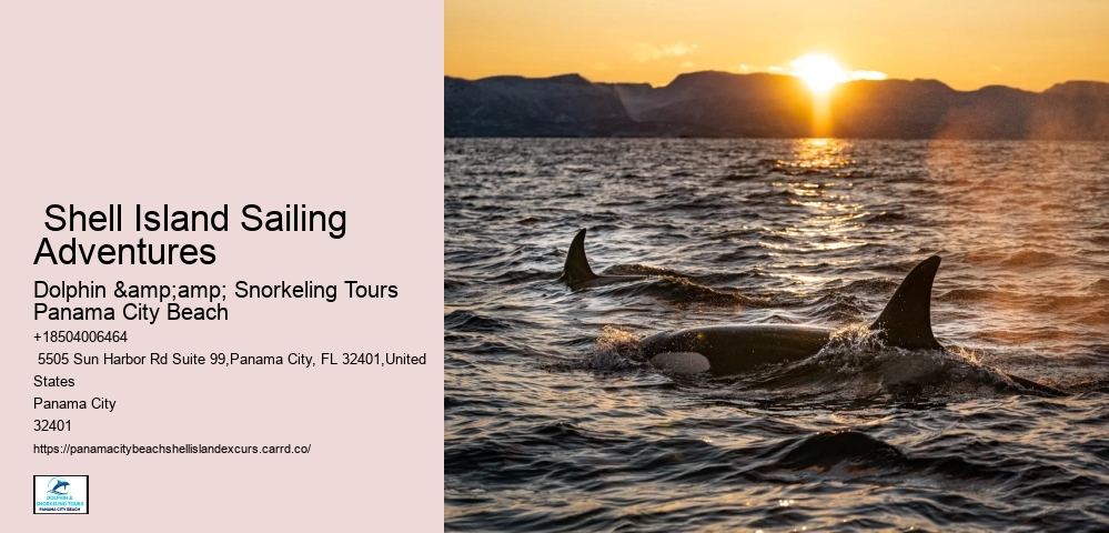  Shell Island: Top Boat Rental Facility