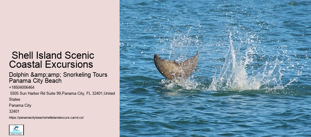  Shell Island Scenic Coastal Excursions