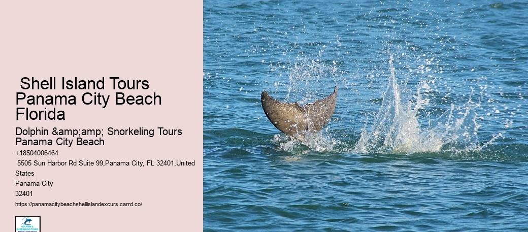  Shell Island Tours Panama City Beach Florida