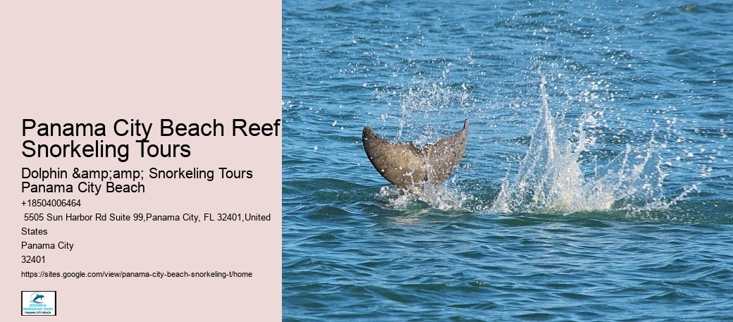 Panama City Beach Reef Snorkeling Tours