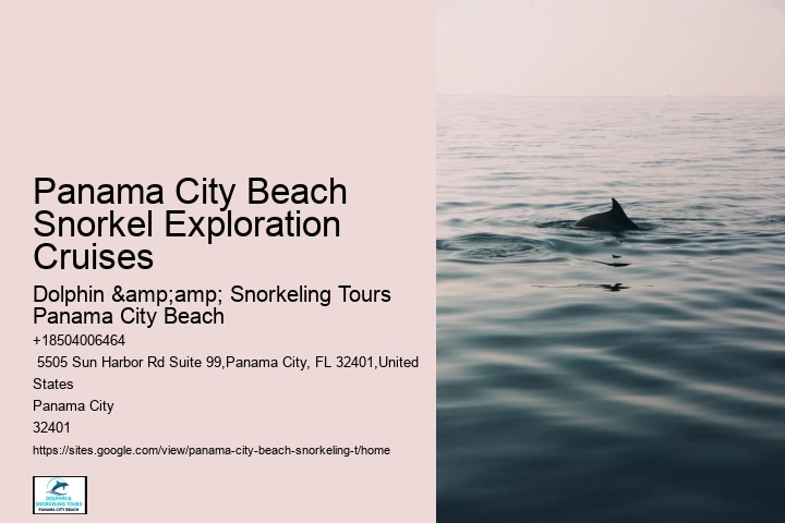 Panama City Beach Snorkel Exploration Cruises