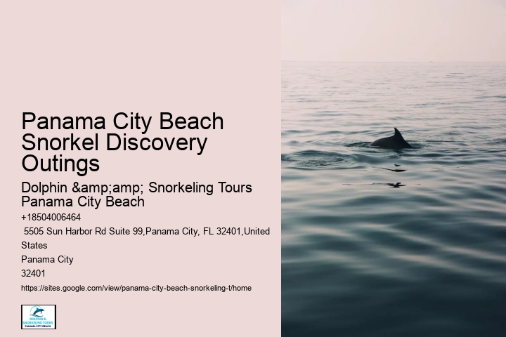 Panama City Beach Snorkel Discovery Outings