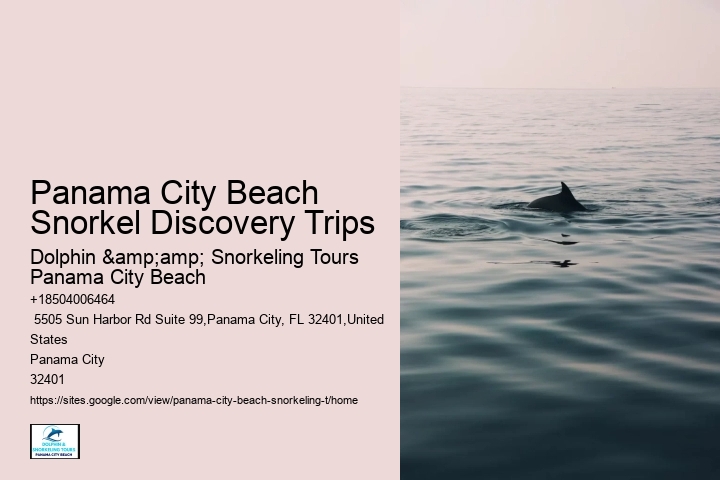 Panama City Beach Snorkel Discovery Trips