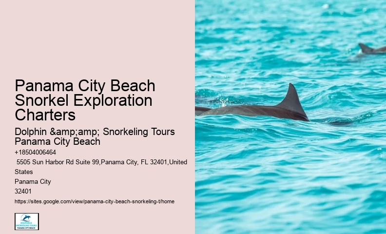 Snorkeling Charters From Panama City Beach