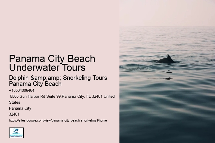 Panama City Beach Underwater Tours