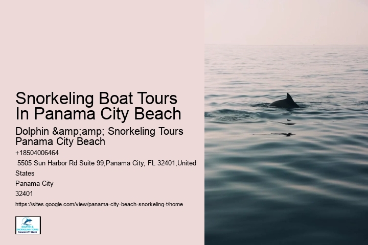 Snorkeling Boat Tours In Panama City Beach