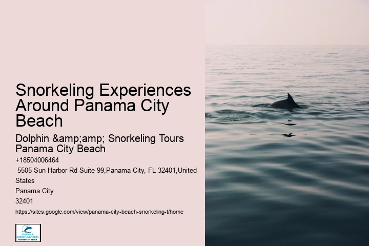 Snorkeling Experiences Around Panama City Beach