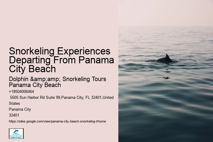 Snorkeling Experiences Departing From Panama City Beach