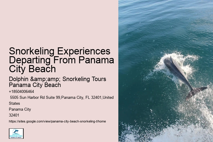 Panama City Beach Snorkeling Tours San Diego