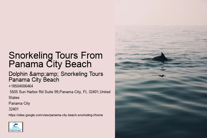 Snorkeling Tours From Panama City Beach