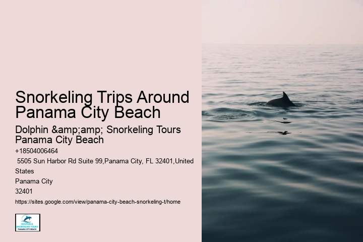 Snorkeling Trips Around Panama City Beach