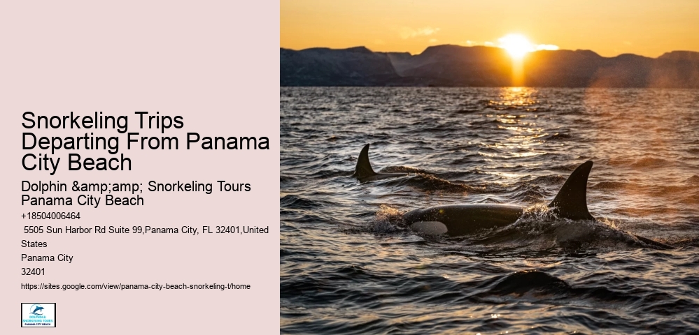 Snorkeling Trips Departing From Panama City Beach