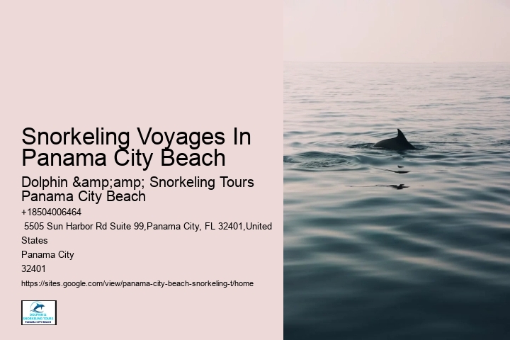 Snorkeling Voyages In Panama City Beach